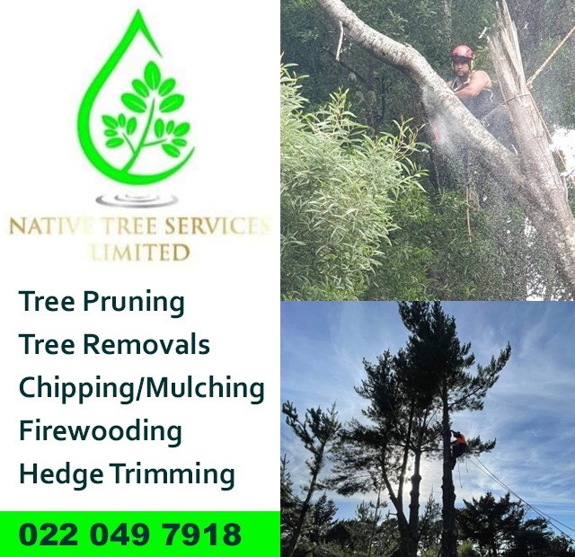Native Tree Services Limited - Helensville school - May 24